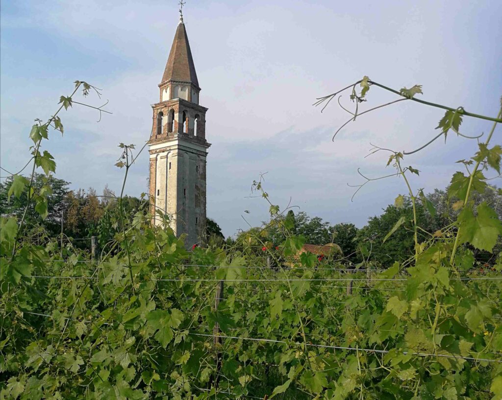 Venissa