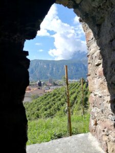 Piana Rotaliana