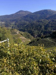 Wine Trekking Gourmet