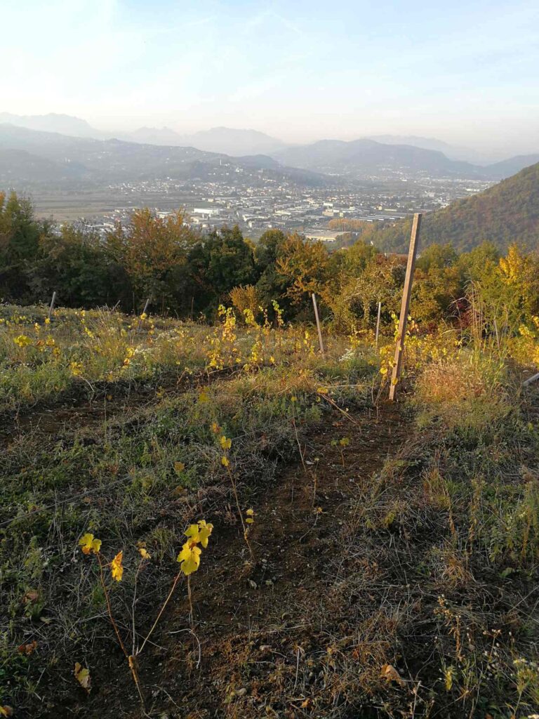 Tenuta l'Armonia