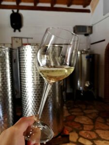 Cantina Vieceli