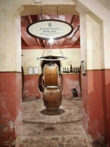 Fongoli