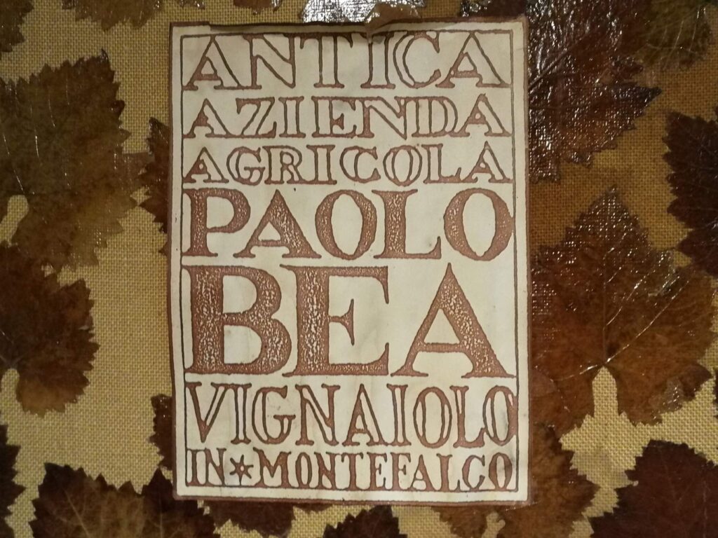 Giampiero Bea