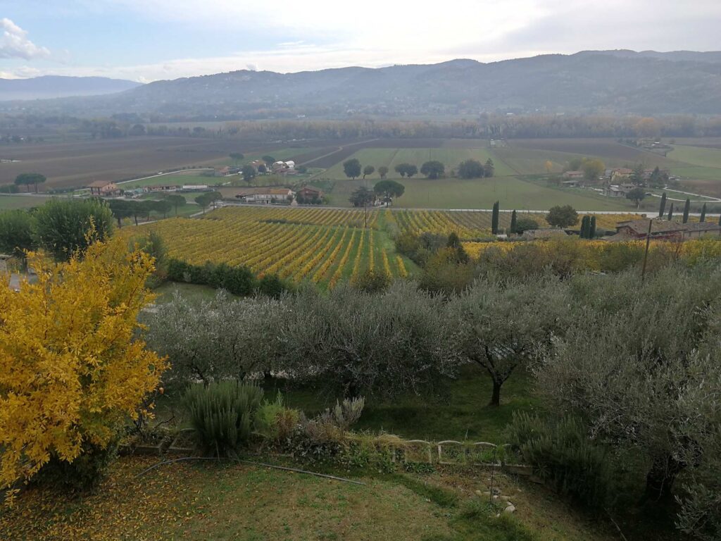 Casale Villa Chiara