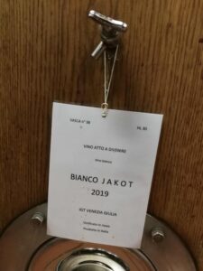 Dario Princic