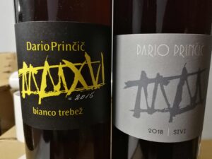 Dario Princic