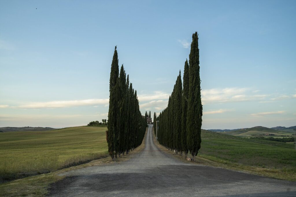 Eccellenza Toscana