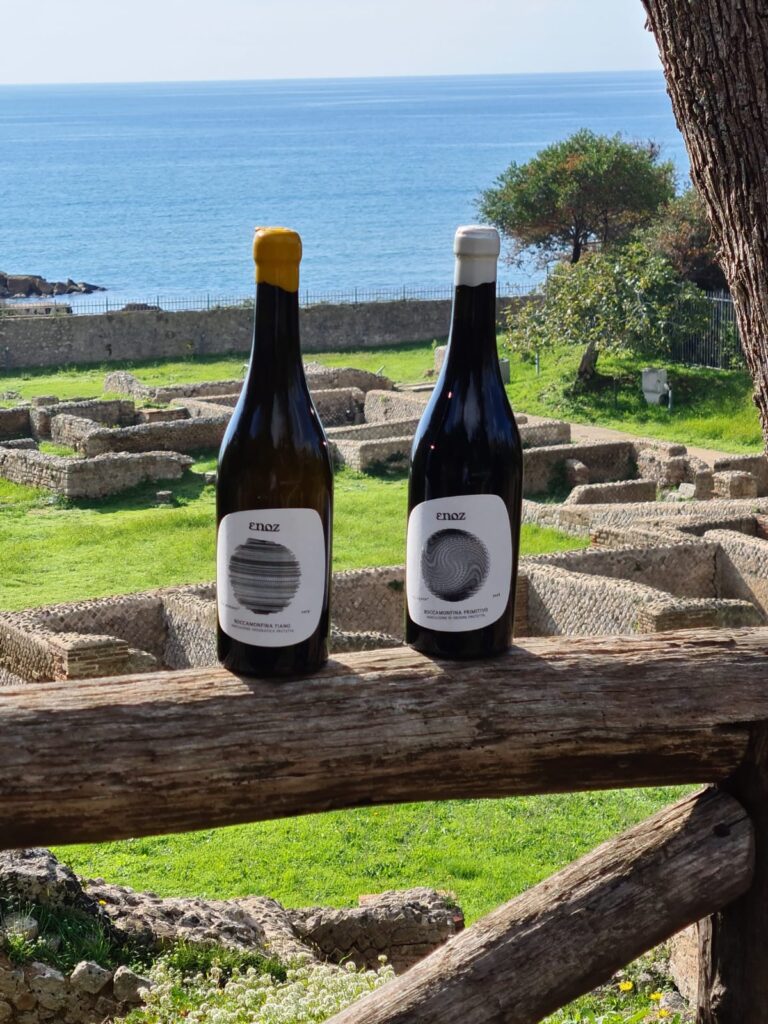 Enoz Wine