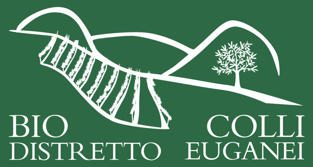 Colli Euganei