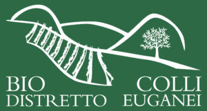 Colli Euganei